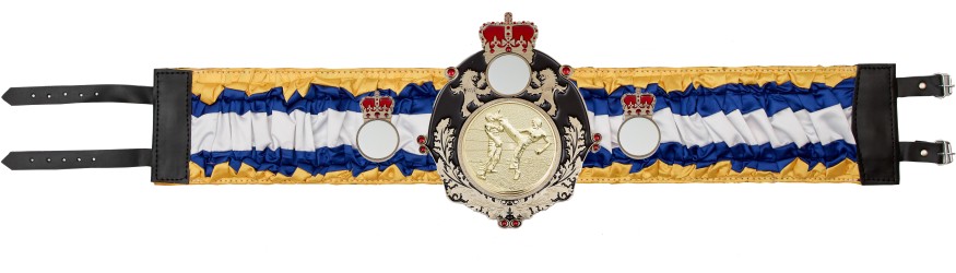 QUEENSBURY KICKBOXING SILK CHAMPIONSHIP BELT - QUEEN/B/KBOG/SILK - AVAILABLE IN 6 COLOURS